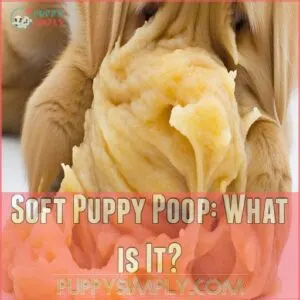 Soft Puppy Poop: What is It