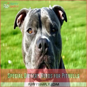 Special Dietary Needs for Pitbulls