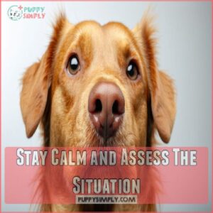 Stay Calm and Assess The Situation