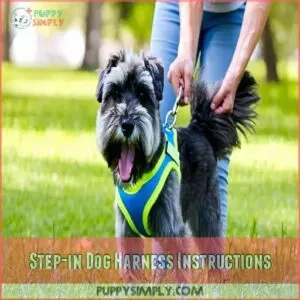 Step-in Dog Harness Instructions