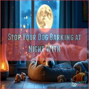 Stop Your Dog Barking at Night With