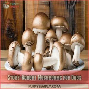 Store-Bought Mushrooms for Dogs