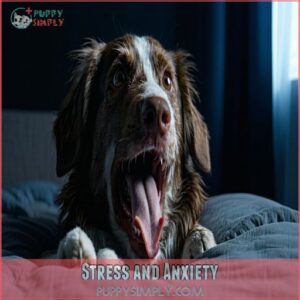 Stress and Anxiety