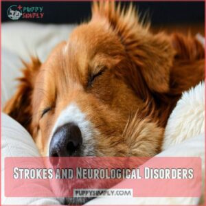 Strokes and Neurological Disorders