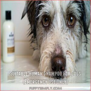 Suitable Human Shampoo for Dogs (Emergency Use Only)