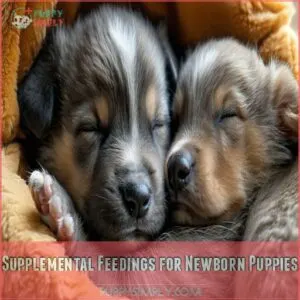 Supplemental Feedings for Newborn Puppies