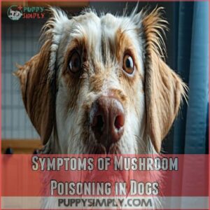 Symptoms of Mushroom Poisoning in Dogs