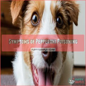 Symptoms of Pepperoni Poisoning