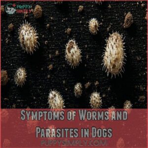 Symptoms of Worms and Parasites in Dogs