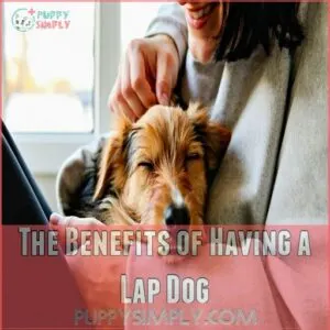 The Benefits of Having a Lap Dog