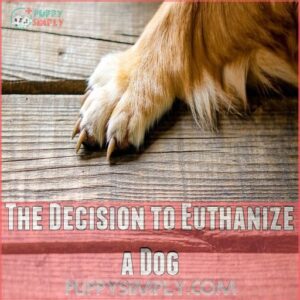 The Decision to Euthanize a Dog