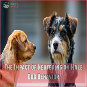 The Impact of Neutering on Male Dog Behavior