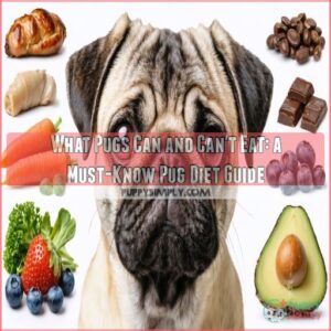 the ultimate guide to what pugs can and cant eat