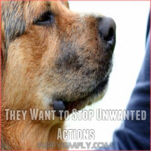 They Want to Stop Unwanted Actions