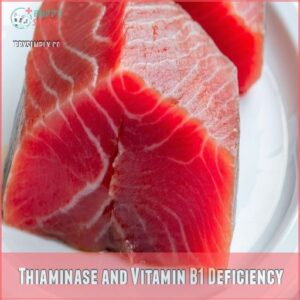 Thiaminase and Vitamin B1 Deficiency