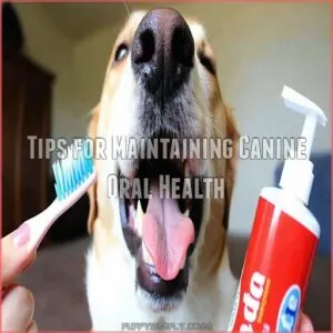 Tips for Maintaining Canine Oral Health