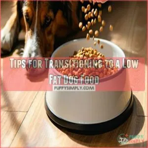 Tips for Transitioning to a Low Fat Dog Food