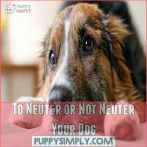 To Neuter or Not Neuter Your Dog