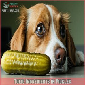 Toxic Ingredients in Pickles