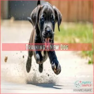 Training a New Dog