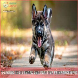 Training Challenges and Positive Reinforcement