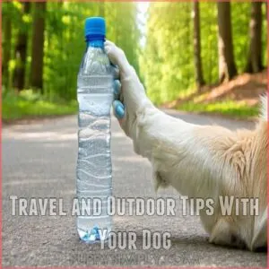 Travel and Outdoor Tips With Your Dog