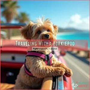 Traveling With a Yorkiepoo