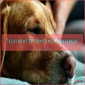 Treatment Options and Management