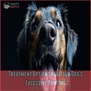 Treatment Options for Your Dog