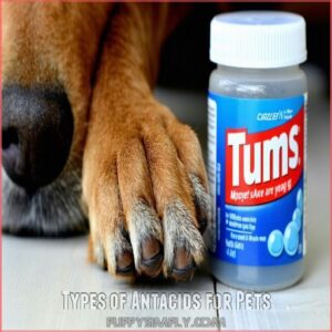 Types of Antacids for Pets