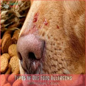 Types of Dog Food Allergens