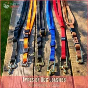 Types of Dog Leashes