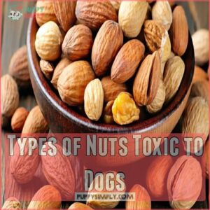 Types of Nuts Toxic to Dogs