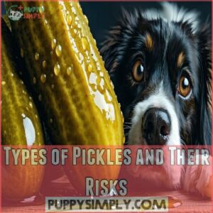 Types of Pickles and Their Risks