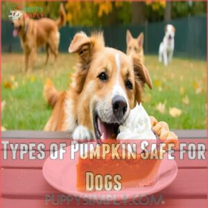 Types of Pumpkin Safe for Dogs