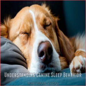 Understanding Canine Sleep Behavior