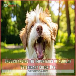 Understanding The Importance of Regular Veterinary Check-Ups