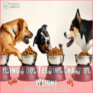 Using a Dog Feeding Chart by Weight