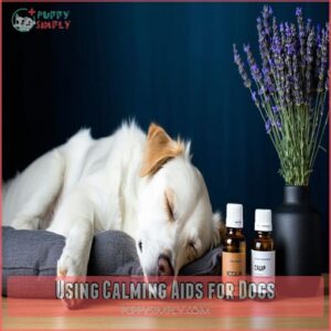 Using Calming Aids for Dogs