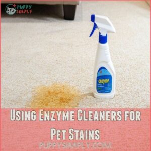 Using Enzyme Cleaners for Pet Stains