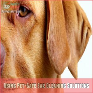 Using Pet-Safe Ear Cleaning Solutions