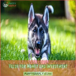 Value for Money and Investment