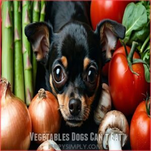 Vegetables Dogs Can