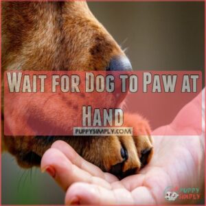 Wait for Dog to Paw at Hand