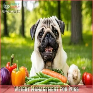 Weight Management for Pugs