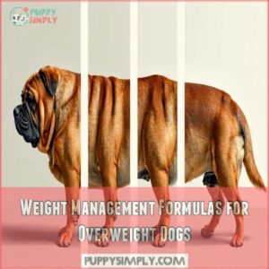 Weight Management Formulas for Overweight Dogs