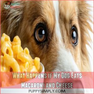 What Happens if My Dog Eats Macaroni and Cheese