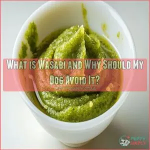 What is Wasabi and Why Should My Dog Avoid It