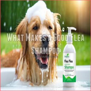 What Makes a Good Flea Shampoo