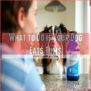 What to Do if Your Dog Eats Tums